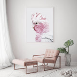 Wall Art 40cmx60cm Pink Galah White Frame Canvas