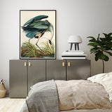 Wall Art 70cmx100cm Great Blue Heron By John James Audubon Black Frame Canvas