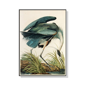 Wall Art 80cmx120cm Great Blue Heron By John James Audubon Black Frame Canvas