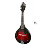 Karrera 8-String Electric Mandolin