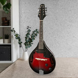 Karrera 8-String Electric Mandolin