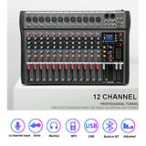 Hridz 12 Channel Mixing Console Live Studio Audio DJ Mixer Sound Board USB Interface