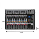 Hridz 12 Channel Mixing Console Live Studio Audio DJ Mixer Sound Board USB Interface