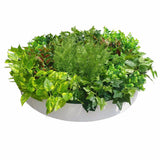 Artificial Plant Green Wall Disk Art 80cm - Mixed Fern