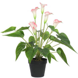 Artificial Plant Flowering White & Pink Peace Lily / Calla Lily Plant 50cm