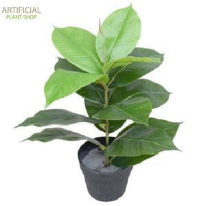 Artificial Plant Potted Rubber Plant 55cm