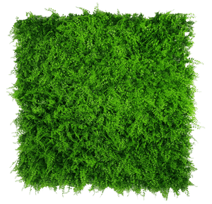 Mediterranean Fern Vertical Garden UV Stabilised 1m X 1m