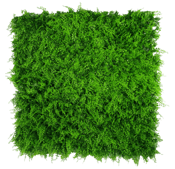 Mediterranean Fern Vertical Garden UV Stabilised 1m X 1m