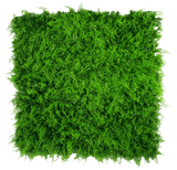 Mediterranean Fern Vertical Garden UV Stabilised 1m X 1m