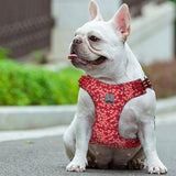 Floral Dog Harness Red L