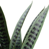 Artificial  Plant Snake Plant UV Resistant 60cm