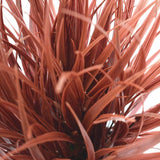 Artificial Plant Ornamental Potted Dense Burgundy Grass 38 cm